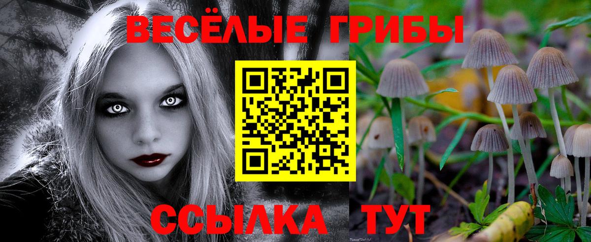 Тверь  Псилоцибиновые грибы Psilocybe  Вход с VPN 