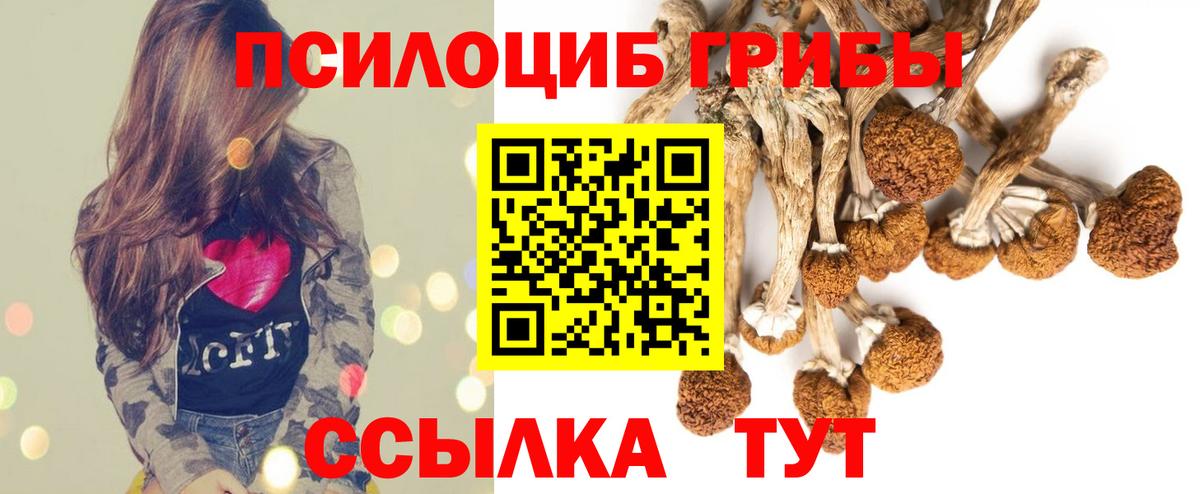Галлюциногенные грибы GOLDEN TEACHER Тверь