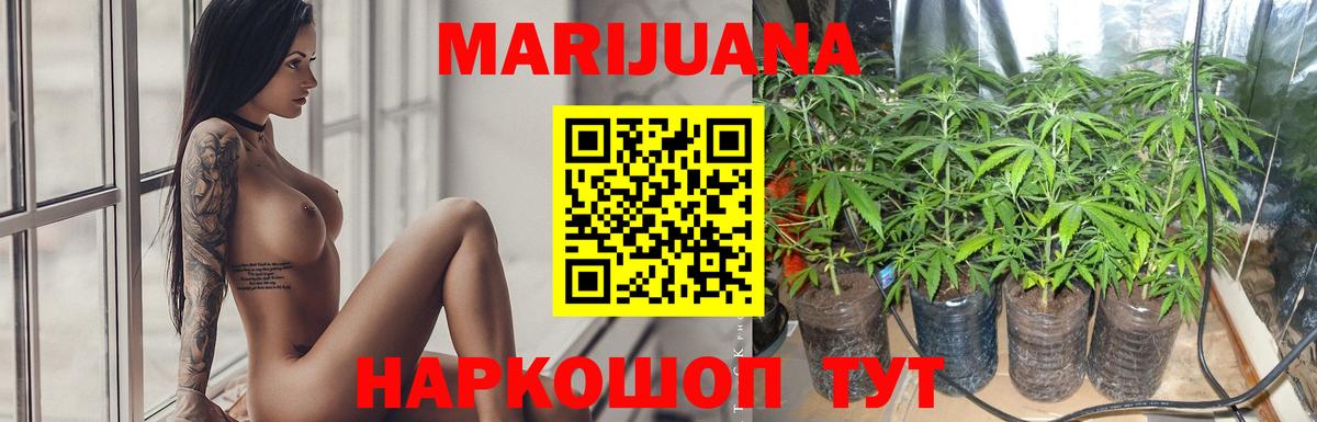 Марихуана марихуана Тверь